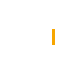 scanningaudit.org favicon